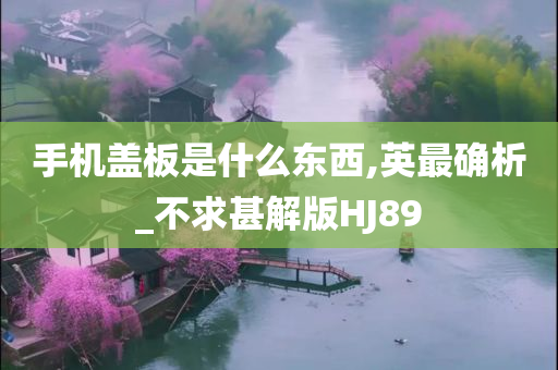 手机盖板是什么东西,英最确析_不求甚解版HJ89