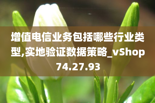 增值电信业务包括哪些行业类型,实地验证数据策略_vShop74.27.93