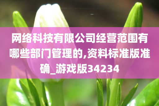 网络科技有限公司经营范围有哪些部门管理的,资料标准版准确_游戏版34234