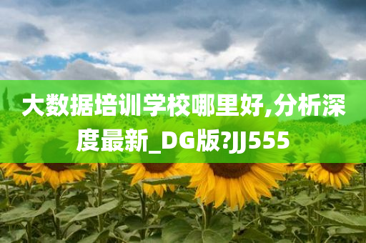 大数据培训学校哪里好,分析深度最新_DG版?JJ555