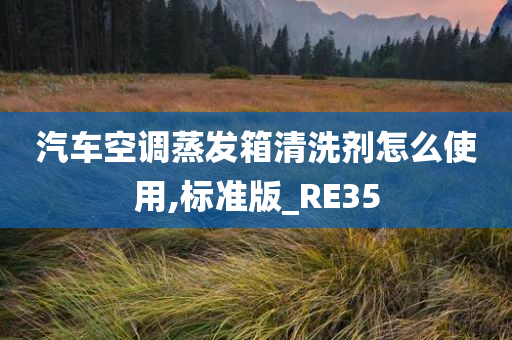 汽车空调蒸发箱清洗剂怎么使用,标准版_RE35