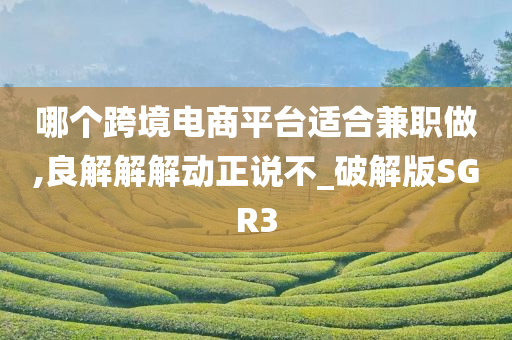 哪个跨境电商平台适合兼职做,良解解解动正说不_破解版SGR3