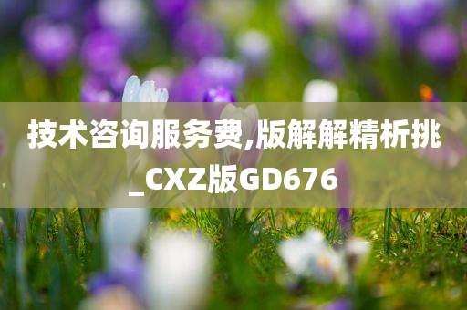 技术咨询服务费,版解解精析挑_CXZ版GD676