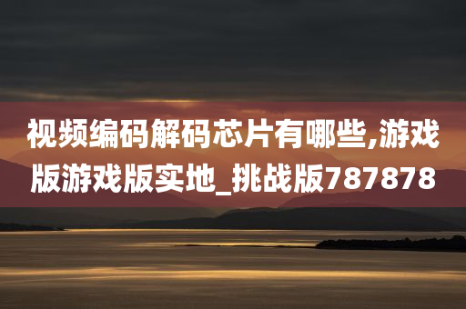 视频编码解码芯片有哪些,游戏版游戏版实地_挑战版787878