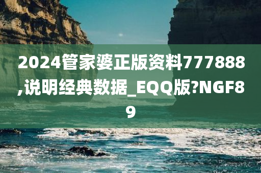 2024管家婆正版资料777888,说明经典数据_EQQ版?NGF89