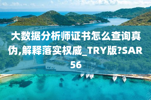 大数据分析师证书怎么查询真伪,解释落实权威_TRY版?SAR56