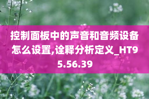 控制面板中的声音和音频设备怎么设置,诠释分析定义_HT95.56.39