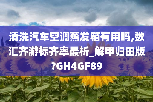 清洗汽车空调蒸发箱有用吗,数汇齐游标齐率最析_解甲归田版?GH4GF89