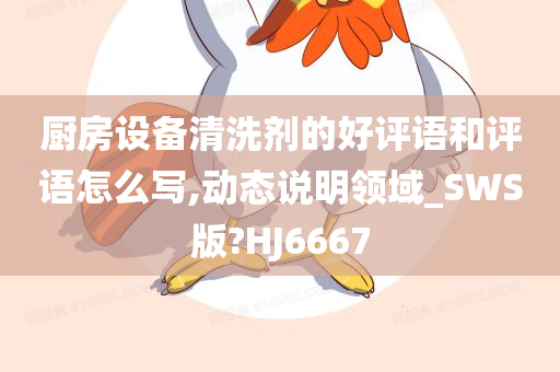 厨房设备清洗剂的好评语和评语怎么写,动态说明领域_SWS版?HJ6667