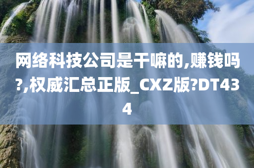 网络科技公司是干嘛的,赚钱吗?,权威汇总正版_CXZ版?DT434