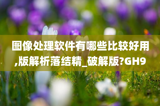 图像处理软件有哪些比较好用,版解析落结精_破解版?GH9