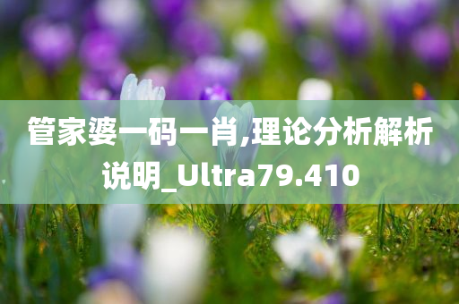 管家婆一码一肖,理论分析解析说明_Ultra79.410