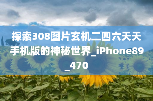 探索308图片玄机二四六天天手机版的神秘世界_iPhone89_470