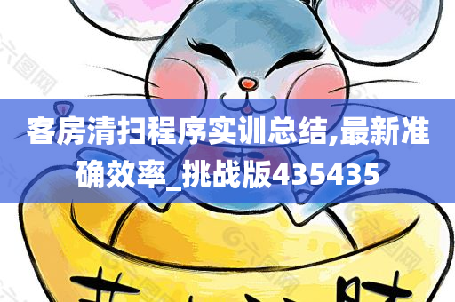 客房清扫程序实训总结,最新准确效率_挑战版435435