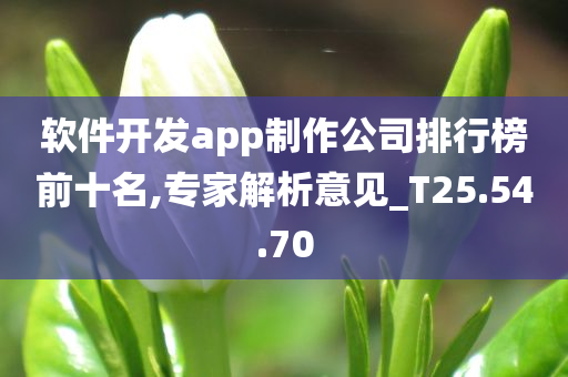 软件开发app制作公司排行榜前十名,专家解析意见_T25.54.70