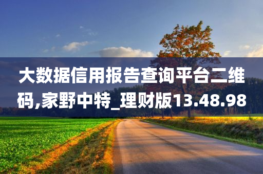 大数据信用报告查询平台二维码,家野中特_理财版13.48.98