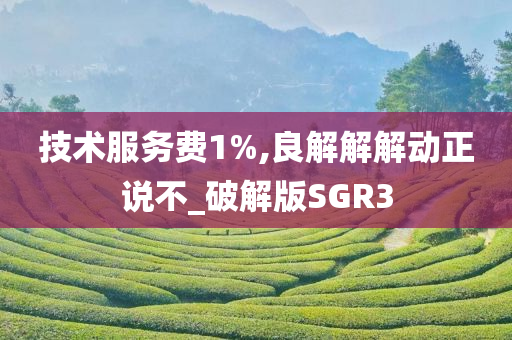 技术服务费1%,良解解解动正说不_破解版SGR3