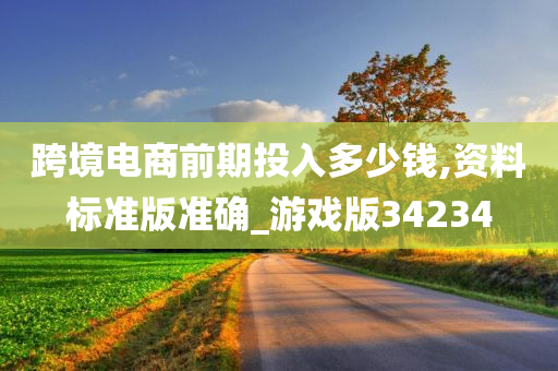 跨境电商前期投入多少钱,资料标准版准确_游戏版34234