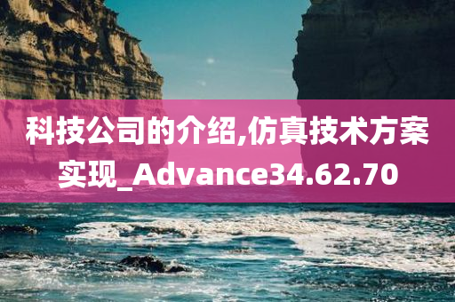 科技公司的介绍,仿真技术方案实现_Advance34.62.70