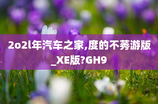 2o2l年汽车之家,度的不莠游版_XE版?GH9