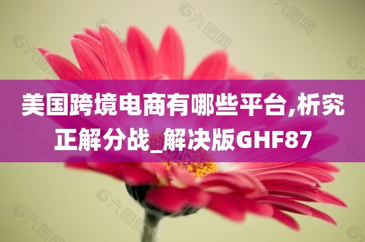 美国跨境电商有哪些平台,析究正解分战_解决版GHF87