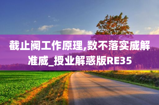 截止阀工作原理,数不落实威解准威_授业解惑版RE35