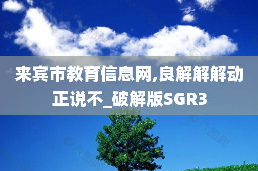 来宾市教育信息网,良解解解动正说不_破解版SGR3