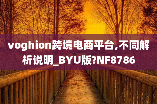 voghion跨境电商平台,不同解析说明_BYU版?NF8786