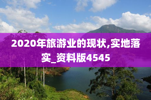 2020年旅游业的现状,实地落实_资料版4545