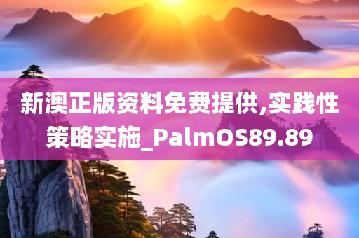 新澳正版资料免费提供,实践性策略实施_PalmOS89.89