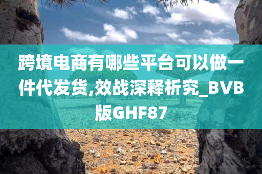 跨境电商有哪些平台可以做一件代发货,效战深释析究_BVB版GHF87