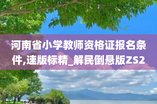 河南省小学教师资格证报名条件,速版标精_解民倒悬版ZS2