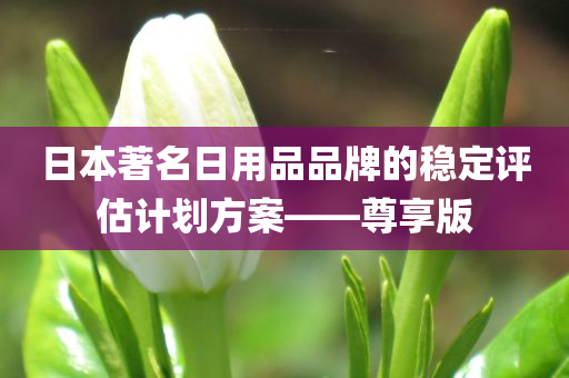 日本著名日用品品牌的稳定评估计划方案——尊享版