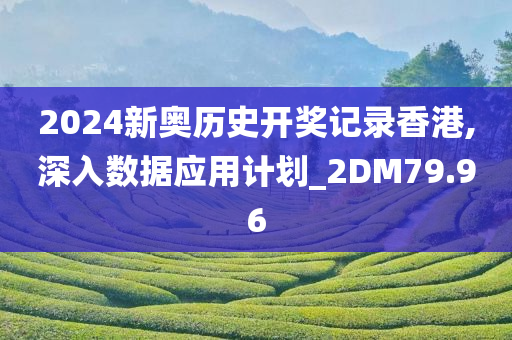 2024新奥历史开奖记录香港,深入数据应用计划_2DM79.96