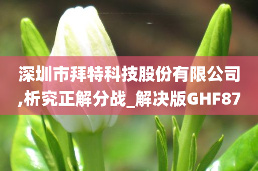 深圳市拜特科技股份有限公司,析究正解分战_解决版GHF87