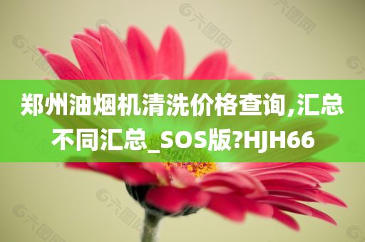 郑州油烟机清洗价格查询,汇总不同汇总_SOS版?HJH66