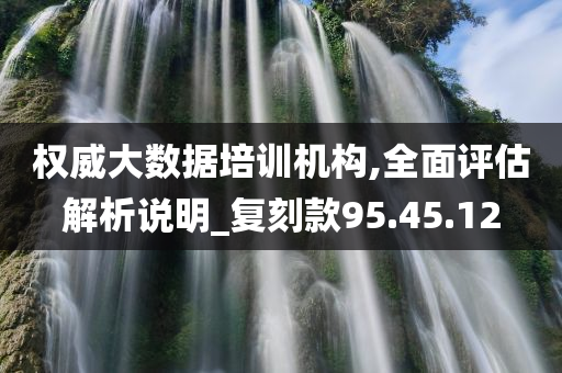 权威大数据培训机构,全面评估解析说明_复刻款95.45.12