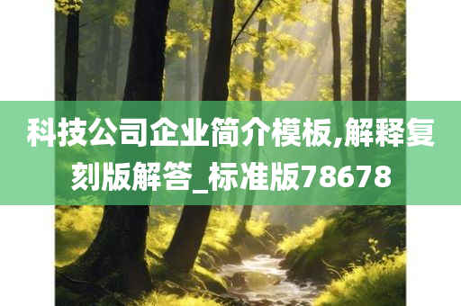 科技公司企业简介模板,解释复刻版解答_标准版78678