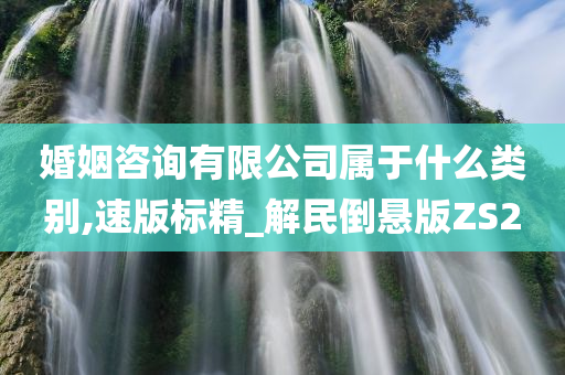 婚姻咨询有限公司属于什么类别,速版标精_解民倒悬版ZS2