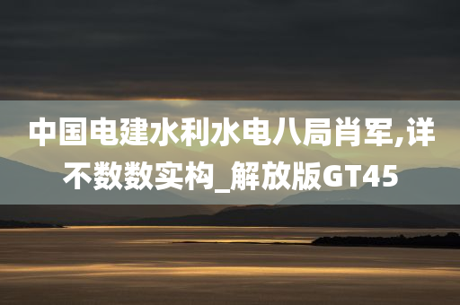 中国电建水利水电八局肖军,详不数数实构_解放版GT45