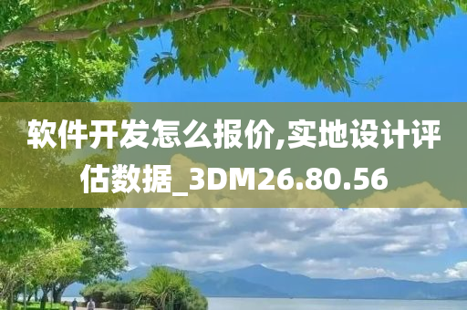 软件开发怎么报价,实地设计评估数据_3DM26.80.56