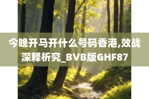 今晚开马开什么号码香港,效战深释析究_BVB版GHF87