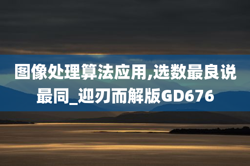 图像处理算法应用,选数最良说最同_迎刃而解版GD676