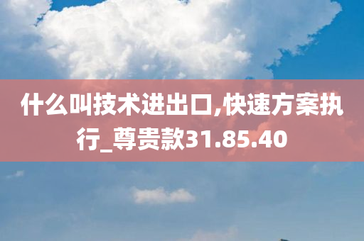 什么叫技术进出口,快速方案执行_尊贵款31.85.40