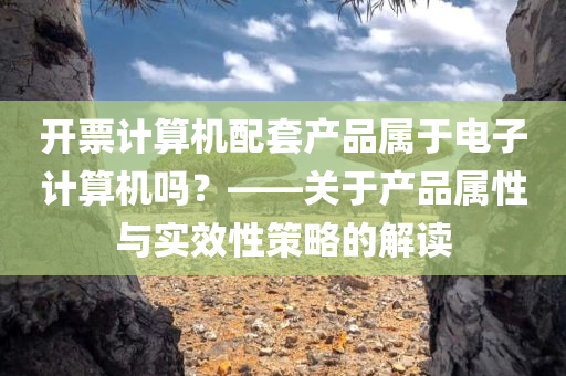 开票计算机配套产品属于电子计算机吗？——关于产品属性与实效性策略的解读