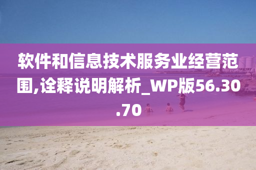 软件和信息技术服务业经营范围,诠释说明解析_WP版56.30.70