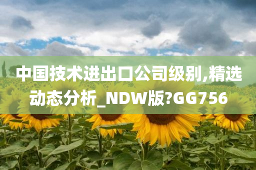 中国技术进出口公司级别,精选动态分析_NDW版?GG756