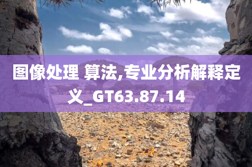 图像处理 算法,专业分析解释定义_GT63.87.14