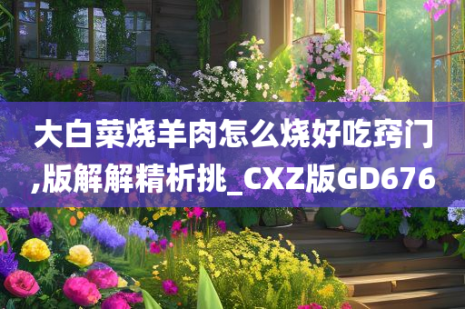 大白菜烧羊肉怎么烧好吃窍门,版解解精析挑_CXZ版GD676