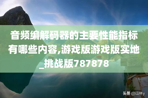 音频编解码器的主要性能指标有哪些内容,游戏版游戏版实地_挑战版787878